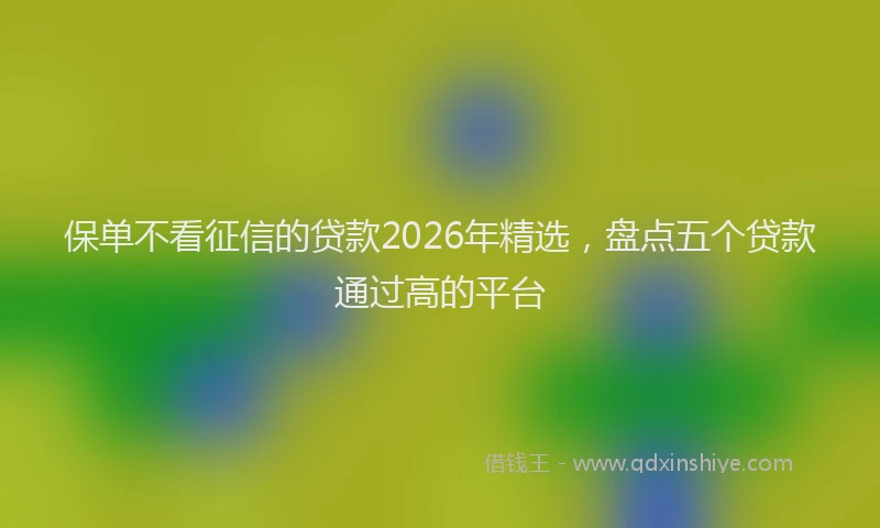 保单不看征信的贷款2026年精选，盘点五个贷款通过高的平台