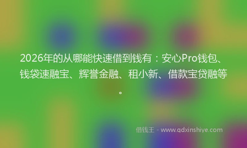 2026年的从哪能快速借到钱有：安心Pro钱包、钱袋速融宝、辉誉金融、租小新、借款宝贷融等。