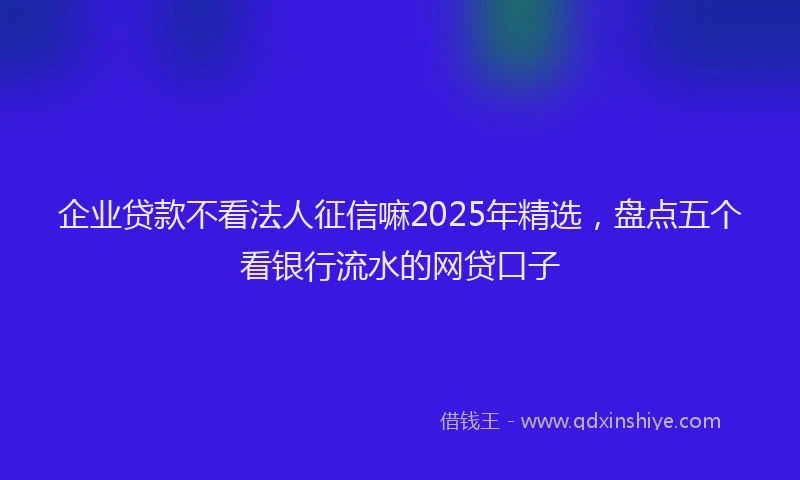 企业贷款不看法人征信嘛2025年精选，盘点五个看银行流水的网贷口子