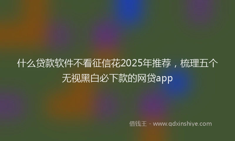 什么贷款软件不看征信花2025年推荐，梳理五个无视黑白必下款的网贷app