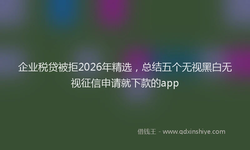 企业税贷被拒2026年精选，总结五个无视黑白无视征信申请就下款的app