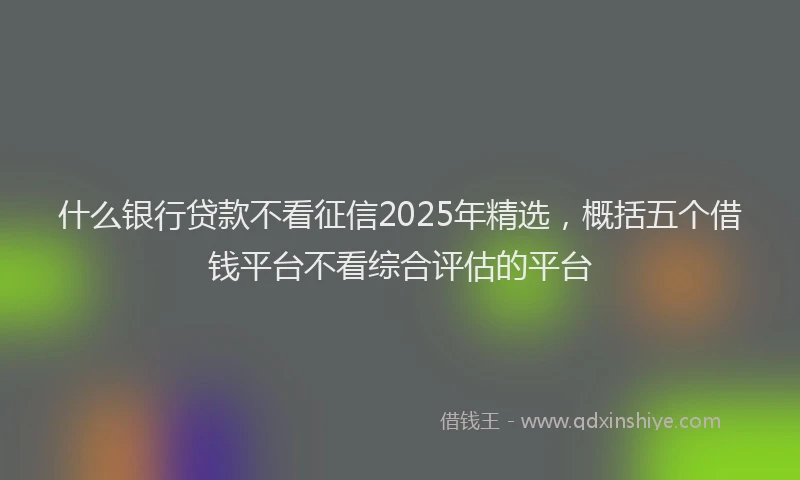 什么银行贷款不看征信2025年精选，概括五个借钱平台不看综合评估的平台