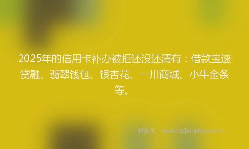 2025年的信用卡补办被拒还没还清有:借款宝速贷融、翡翠钱包、银杏花、一川商城、小牛金条等。