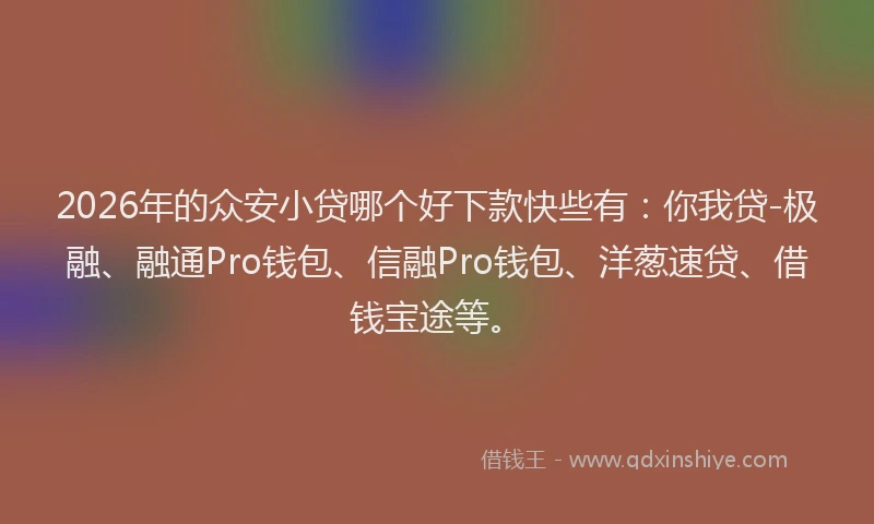 2026年的众安小贷哪个好下款快些有：你我贷-极融、融通Pro钱包、信融Pro钱包、洋葱速贷、借钱宝途等。