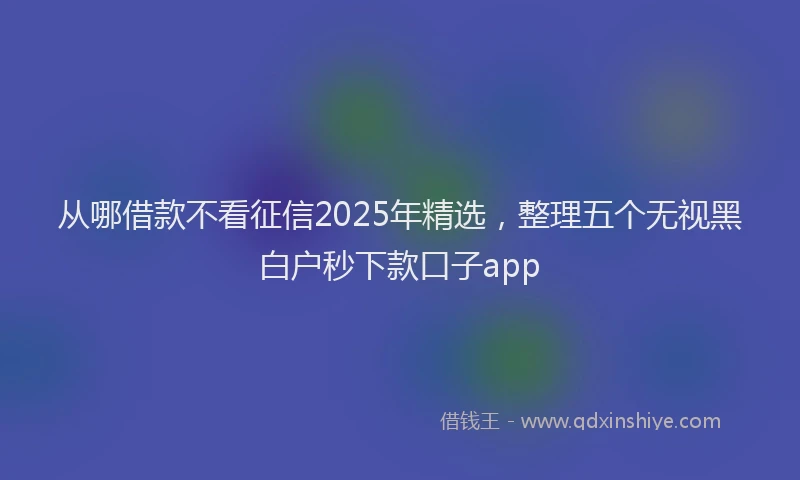 从哪借款不看征信2025年精选，整理五个无视黑白户秒下款口子app