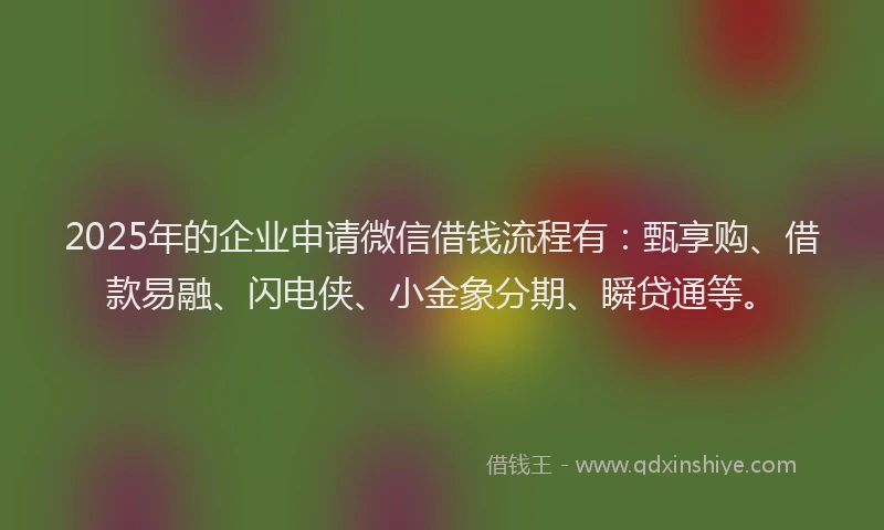 2025年的企业申请微信借钱流程有：甄享购、借款易融、闪电侠、小金象分期、瞬贷通等。