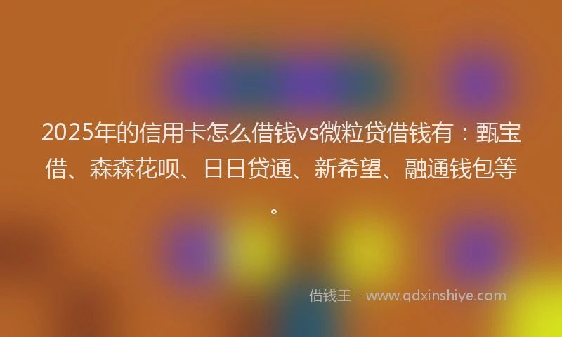 2025年的信用卡怎么借钱vs微粒贷借钱有:甄宝借、森森花呗、日日贷通、新希望、融通钱包等。