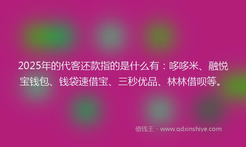 2025年的代客还款指的是什么有：哆哆米、融悦宝钱包、钱袋速借宝、三秒优品、林林借呗等。