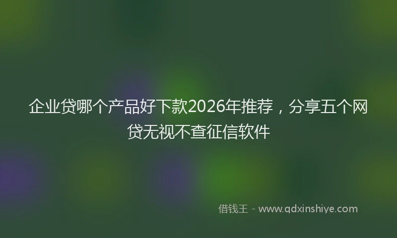 企业贷哪个产品好下款2026年推荐，分享五个网贷无视不查征信软件