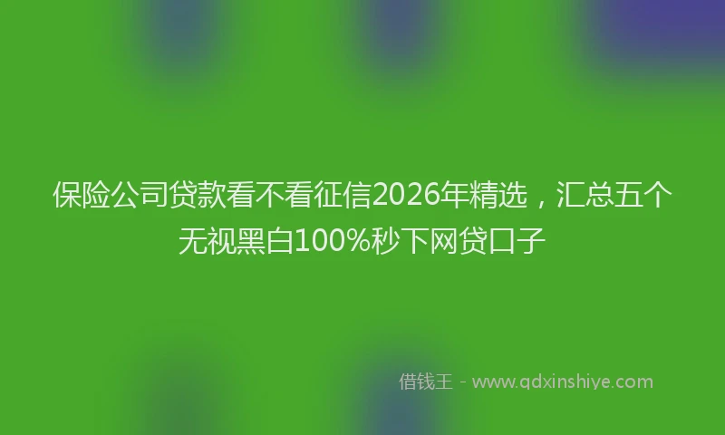 保险公司贷款看不看征信2026年精选，汇总五个无视黑白100%秒下网贷口子