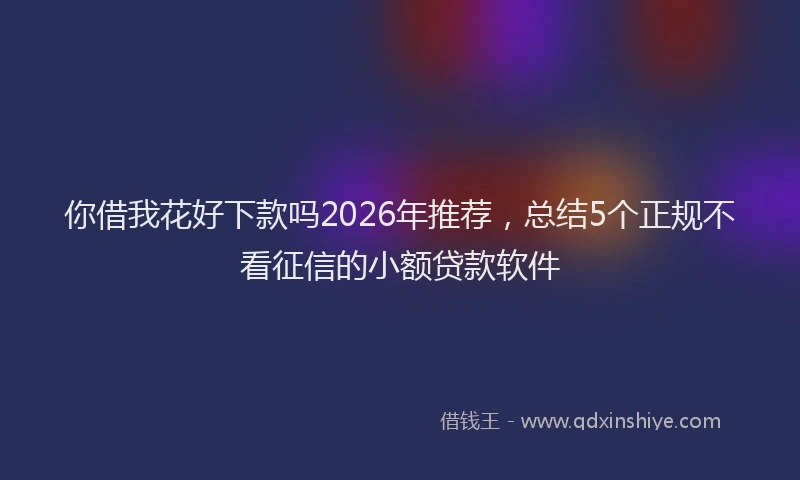 你借我花好下款吗2026年推荐，总结5个正规不看征信的小额贷款软件