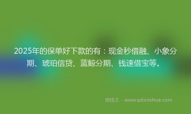2025年的保单好下款的有:现金秒借融、小象分期、琥珀信贷、蓝鲸分期、钱速借宝等。