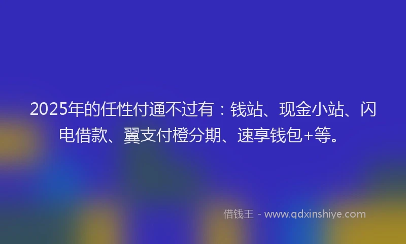 2025年的任性付通不过有:钱站、现金小站、闪电借款、翼支付橙分期、速享钱包+等。