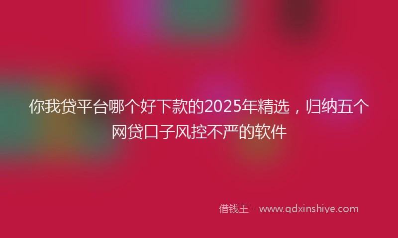 你我贷平台哪个好下款的2025年精选，归纳五个网贷口子风控不严的软件