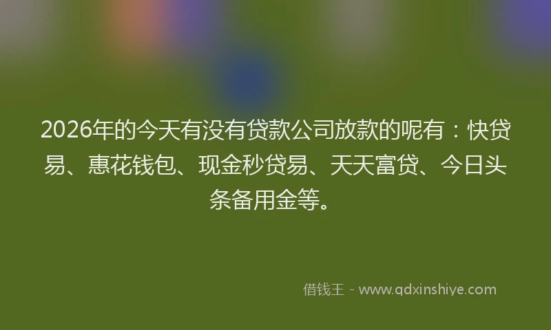 2026年的今天有没有贷款公司放款的呢有：快贷易、惠花钱包、现金秒贷易、天天富贷、今日头条备用金等。