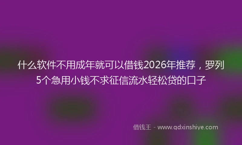 什么软件不用成年就可以借钱2026年推荐，罗列5个急用小钱不求征信流水轻松贷的口子