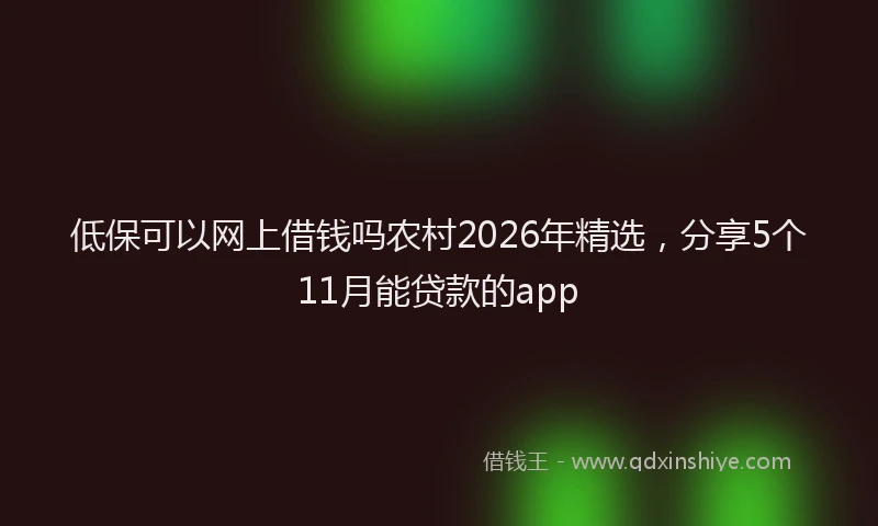 低保可以网上借钱吗农村2026年精选，分享5个11月能贷款的app