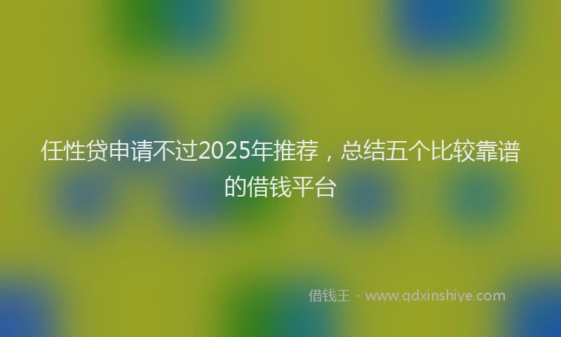 任性贷申请不过2025年推荐，总结五个比较靠谱的借钱平台