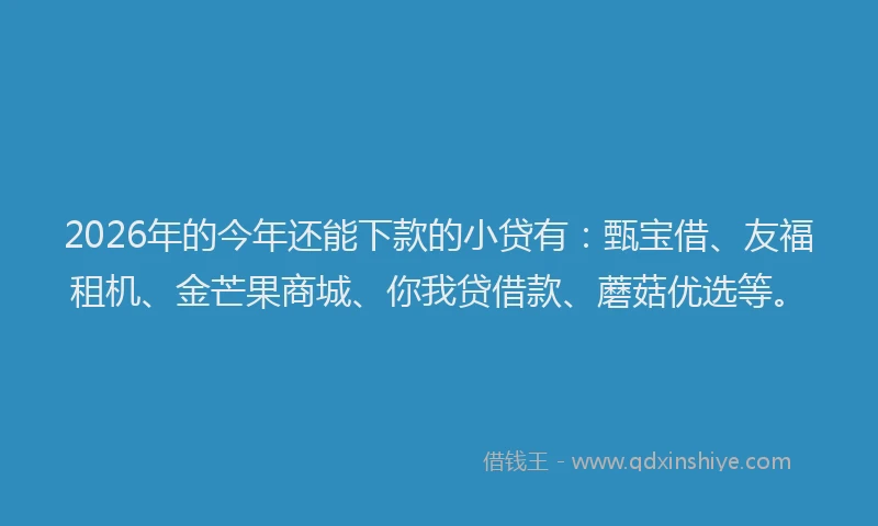2026年的今年还能下款的小贷有：甄宝借、友福租机、金芒果商城、你我贷借款、蘑菇优选等。