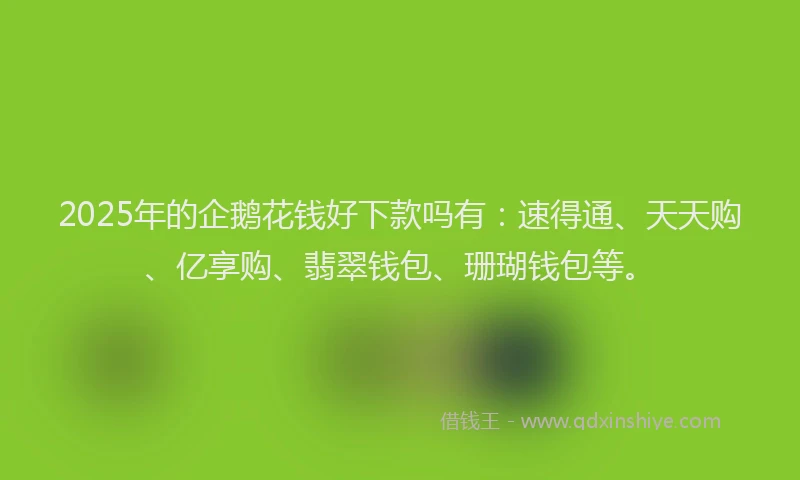 2025年的企鹅花钱好下款吗有:速得通、天天购、亿享购、翡翠钱包、珊瑚钱包等。