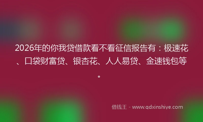 2026年的你我贷借款看不看征信报告有：极速花、口袋财富贷、银杏花、人人易贷、金速钱包等。