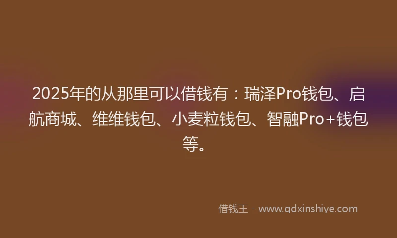 2025年的从那里可以借钱有:瑞泽Pro钱包、启航商城、维维钱包、小麦粒钱包、智融Pro+钱包等。