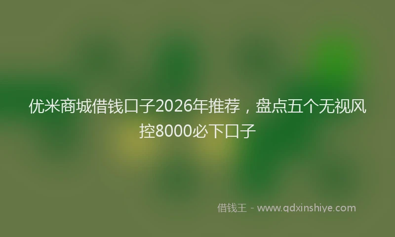 优米商城借钱口子2026年推荐，盘点五个无视风控8000必下口子