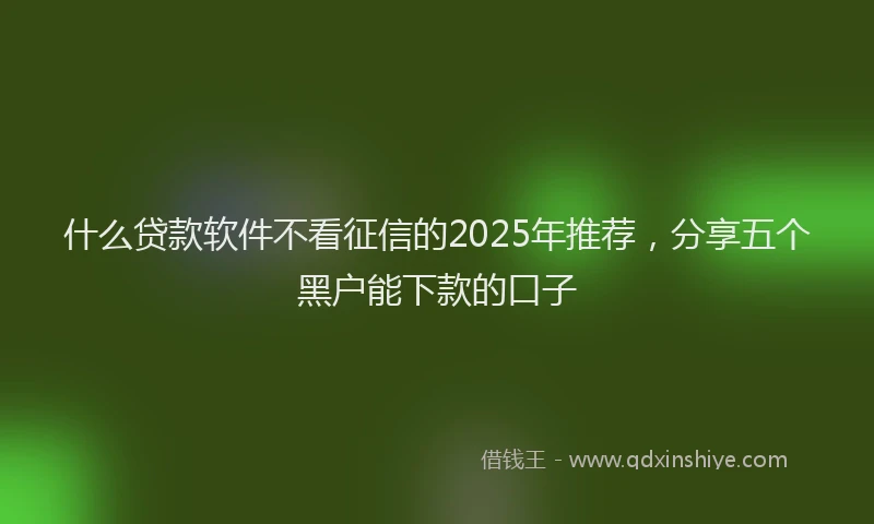 什么贷款软件不看征信的2025年推荐，分享五个黑户能下款的口子