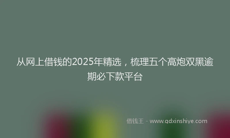 从网上借钱的2025年精选,梳理五个高炮双黑逾期必下款平台