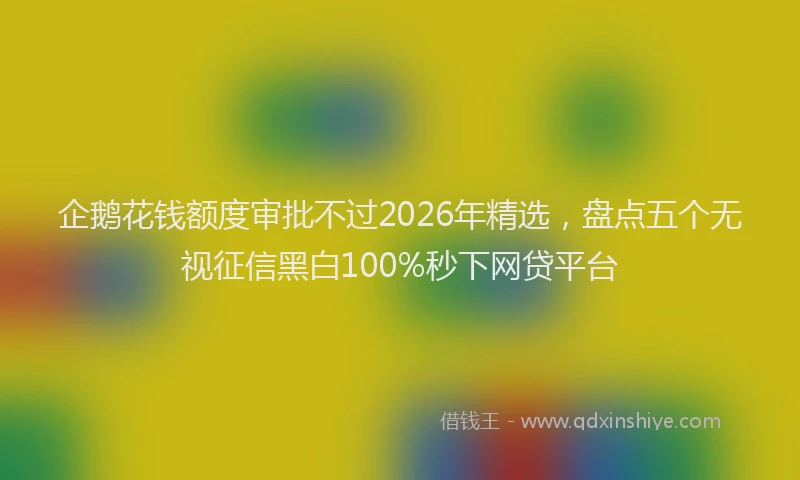 企鹅花钱额度审批不过2026年精选,盘点五个无视征信黑白100%秒下网贷平台
