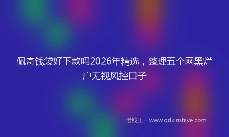 佩奇钱袋好下款吗2026年精选，整理五个网黑烂户无视风控口子
