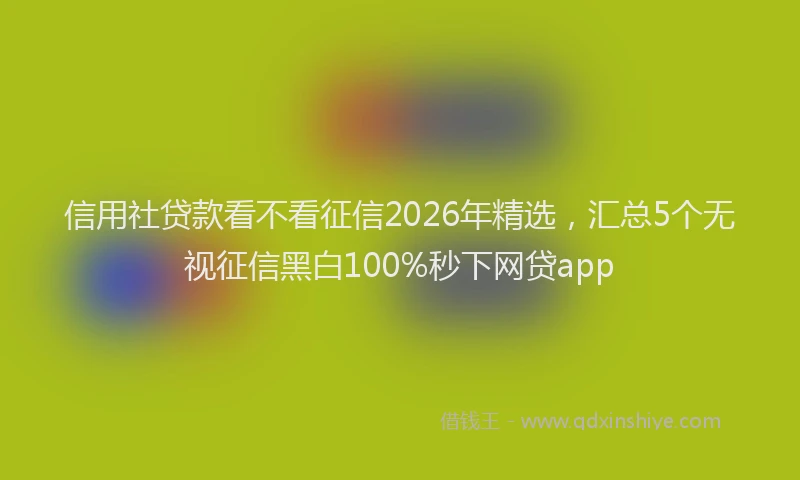 信用社贷款看不看征信2026年精选，汇总5个无视征信黑白100%秒下网贷app