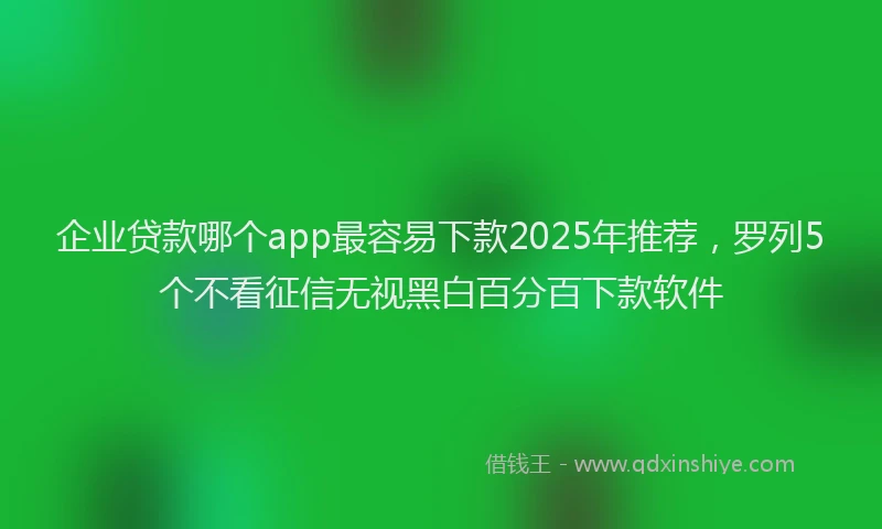 企业贷款哪个app最容易下款2025年推荐，罗列5个不看征信无视黑白百分百下款软件