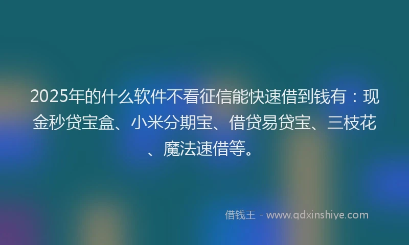 2025年的什么软件不看征信能快速借到钱有：现金秒贷宝盒、小米分期宝、借贷易贷宝、三枝花、魔法速借等。