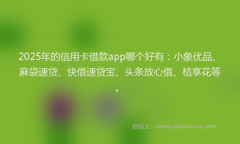 2025年的信用卡借款app哪个好有：小象优品、麻袋速贷、快借速贷宝、头条放心借、桔享花等。