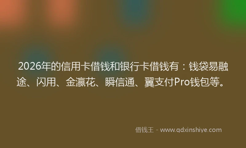 2026年的信用卡借钱和银行卡借钱有：钱袋易融途、闪用、金瀛花、瞬信通、翼支付Pro钱包等。