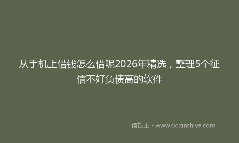 从手机上借钱怎么借呢2026年精选，整理5个征信不好负债高的软件
