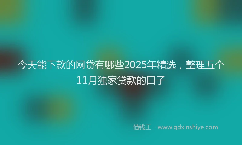 今天能下款的网贷有哪些2025年精选，整理五个11月独家贷款的口子