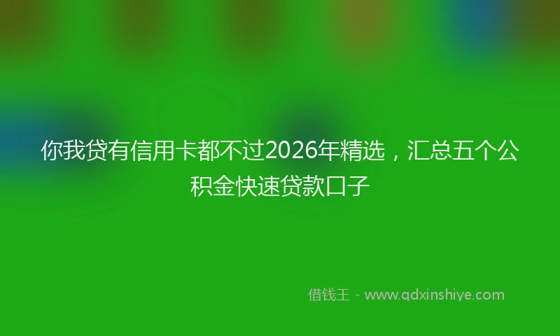 你我贷有信用卡都不过2026年精选，汇总五个公积金快速贷款口子