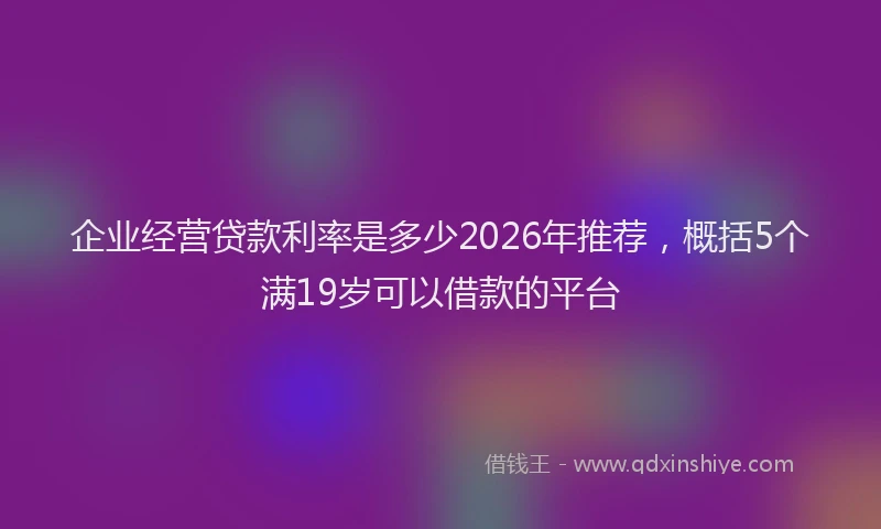 企业经营贷款利率是多少2026年推荐，概括5个满19岁可以借款的平台