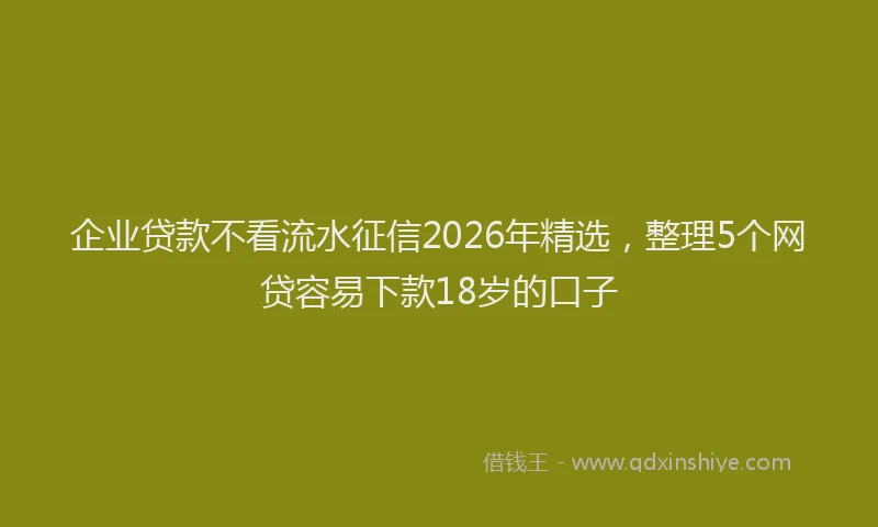 企业贷款不看流水征信2026年精选，整理5个网贷容易下款18岁的口子