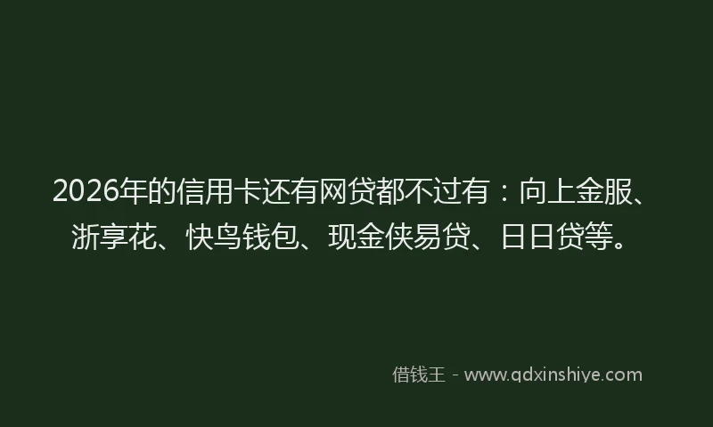 2026年的信用卡还有网贷都不过有：向上金服、浙享花、快鸟钱包、现金侠易贷、日日贷等。