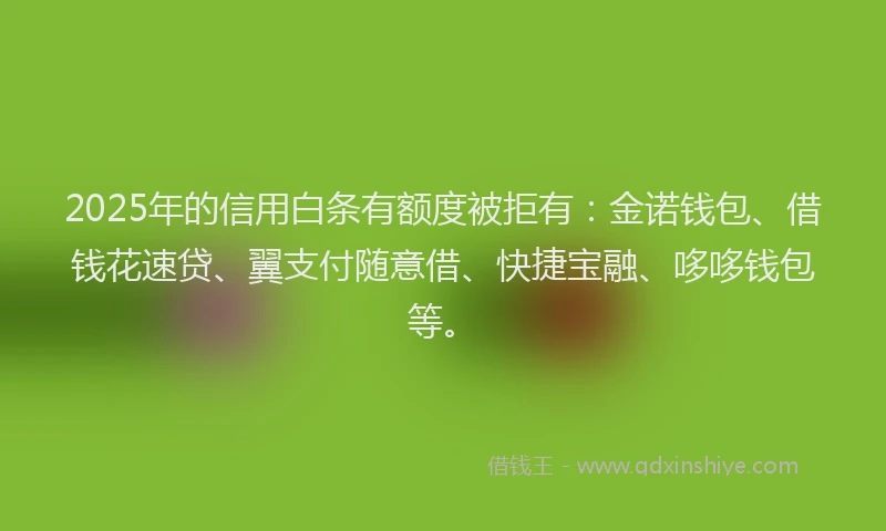 2025年的信用白条有额度被拒有：金诺钱包、借钱花速贷、翼支付随意借、快捷宝融、哆哆钱包等。