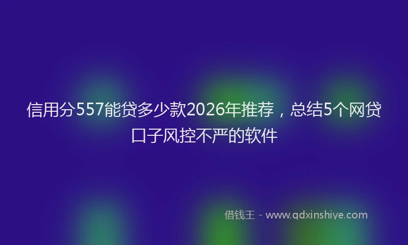 信用分557能贷多少款2026年推荐，总结5个网贷口子风控不严的软件