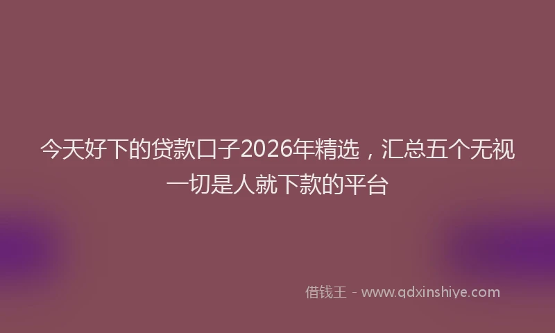 今天好下的贷款口子2026年精选，汇总五个无视一切是人就下款的平台