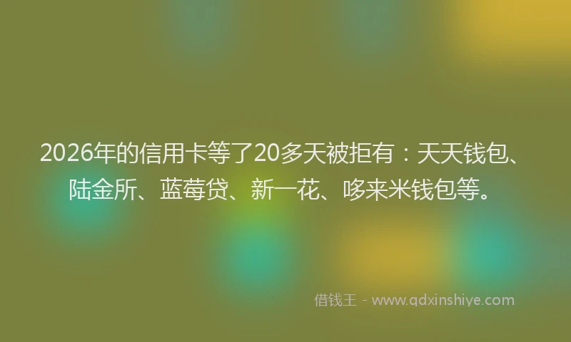 2026年的信用卡等了20多天被拒有：天天钱包、陆金所、蓝莓贷、新一花、哆来米钱包等。