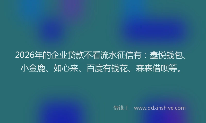 2026年的企业贷款不看流水征信有：鑫悦钱包、小金鹿、如心来、百度有钱花、森森借呗等。