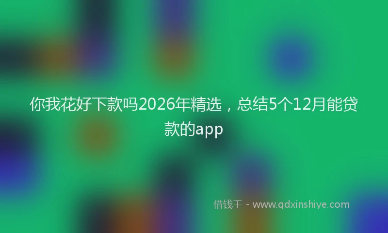 你我花好下款吗2026年精选，总结5个12月能贷款的app
