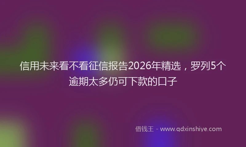 信用未来看不看征信报告2026年精选,罗列5个逾期太多仍可下款的口子