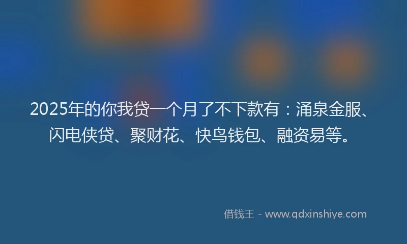 2025年的你我贷一个月了不下款有：涌泉金服、闪电侠贷、聚财花、快鸟钱包、融资易等。